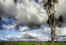 球友会体育：自由式滑雪——国际雪联世界杯（利维尼奥站）：男子空中技巧赛况.