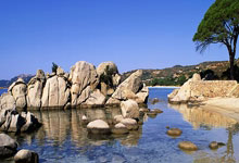 球友会体育：女排超级联赛：江苏女排3-0横扫辽宁女排 挺进总决赛.